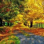 images (3)