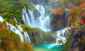 images (3)