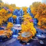 images (4)